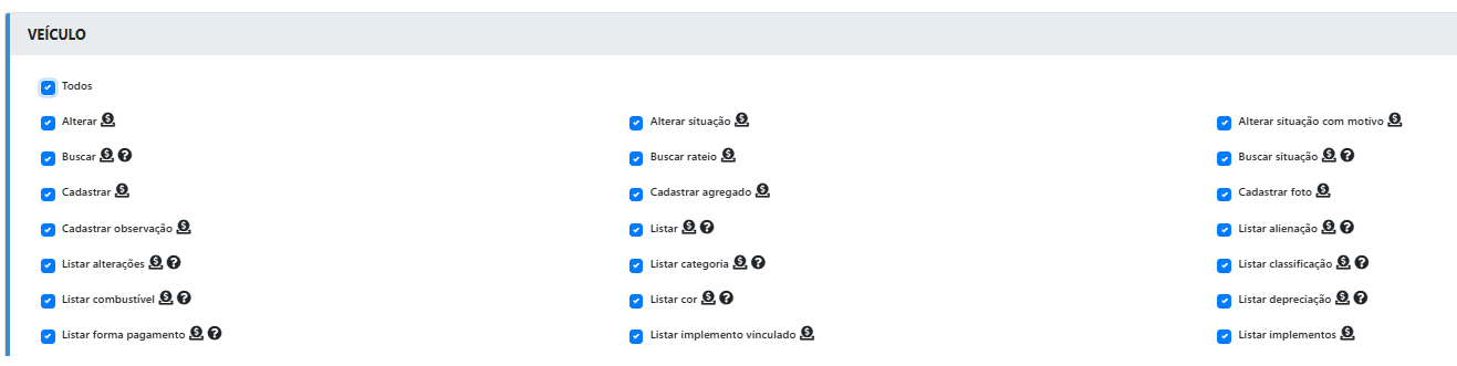 Seção VEÍCULO com todas as permissões marcadas