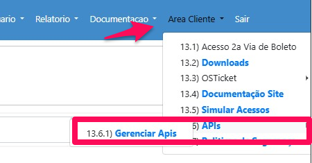 Menu Área Cliente > APIs > Gerenciar APIs no SGA